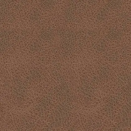Image of Item